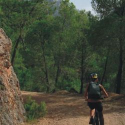rutas bici por sierra de cazorla