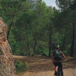 rutas bici por sierra de cazorla